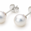 Brock’s Jewelers Gem Quality Akoya Pearl Stud Earrings – Classic Saltwater (SWP2)