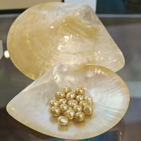 Image from www.gia.edu/pearl-quality-factor. Gift of Bob & Maria Pratsch